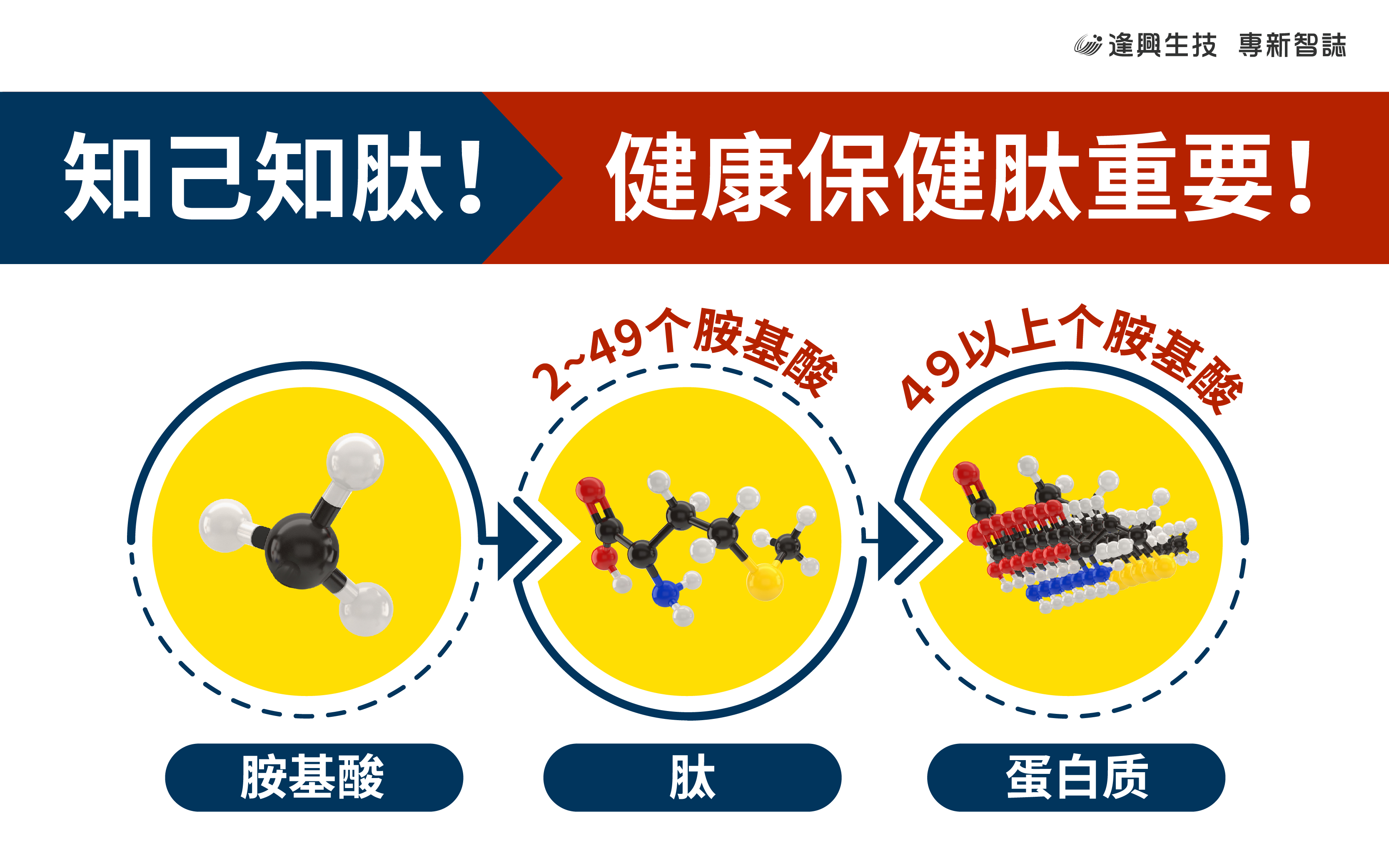 0406_vol.0021-肽_智庫肽內文圖_簡_市場-01